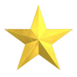 Gold Star Service Award